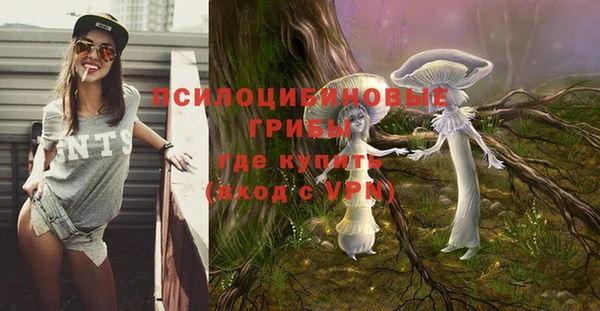 spice Алексеевка