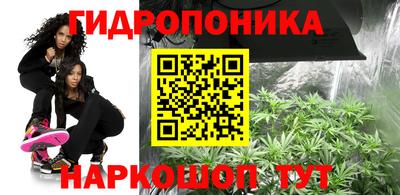 PSILOCYBIN Будённовск