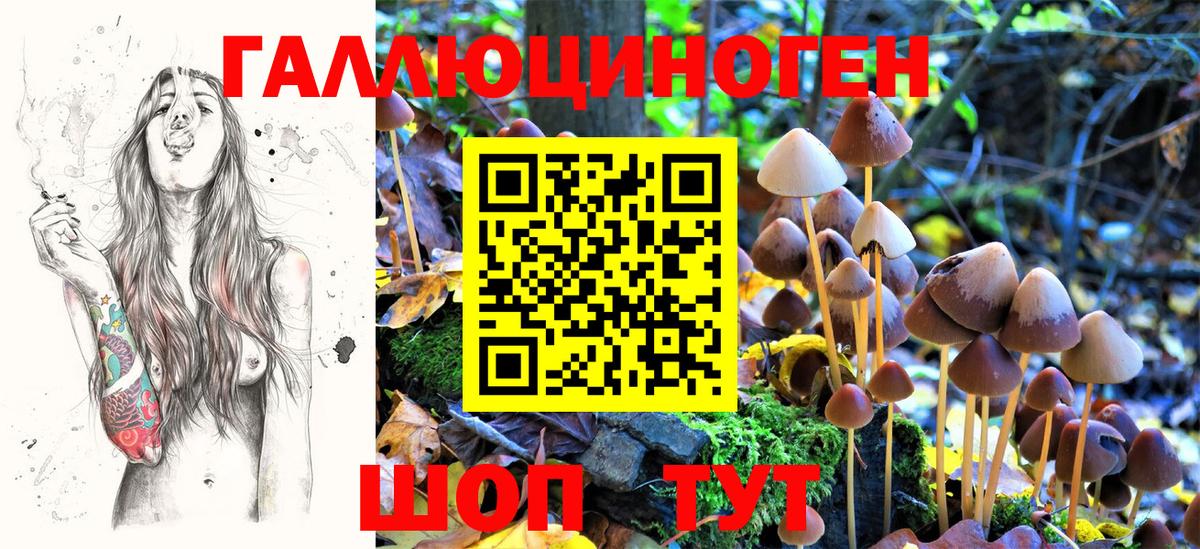 Псилоцибиновые грибы Psilocybe  Псилоцибиновые грибы мухоморы  закладка  Вход с VPN  Еманжелинск 