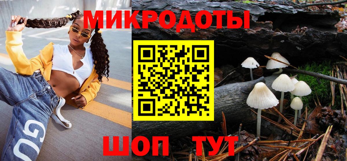 Псилоцибиновые грибы Psilocybine cubensis Еманжелинск